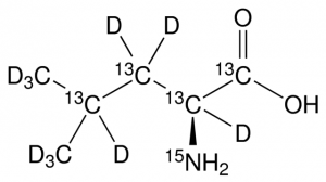 L-Leucine-13C6,15N,2,3,3,4,5,5,5-d7,4-methyl-d3 