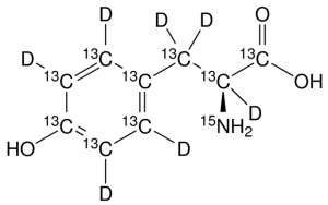L-Tyrosine-13C9,15N,,,,2,3,5,6-d7 
