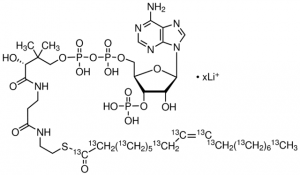 Oleoyl-13C18 coenzyme A lithium salt 
