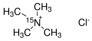 Tetramethylammonium-15N chloride 608823-1G