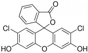 2,7-Dichlorofluorescein 