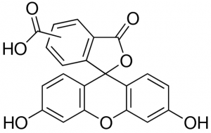 5(6)-Carboxyfluorescein 