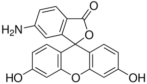 6-Aminofluorescein 