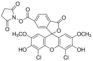 6-Carboxy-4,5-dichloro-2,7-dimethoxyfluorescein N-hydroxysuccinimide ester 
