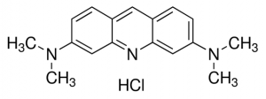 Acridine Orange hydrochloride solution 
