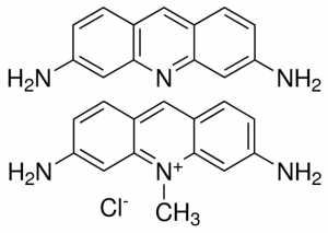 Acriflavine 