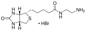 Biotin ethylenediamine hydrobromide 