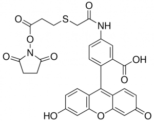 Fluorescein-5-EX N-hydroxysuccinimide ester 