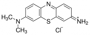 Giemsa stain, modified GS1L-1L