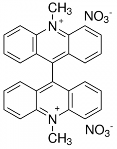 N,N-Dimethyl-9,9-biacridinium dinitrate 