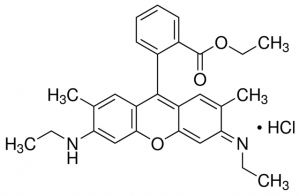 Rhodamine 6G 
