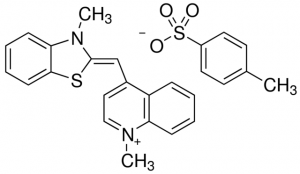 Thiazole Orange 