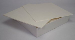 Whatman� gel blotting papers, Grade GB005 WHA10426972