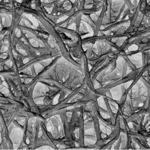 Absorbent Pad AP1004700