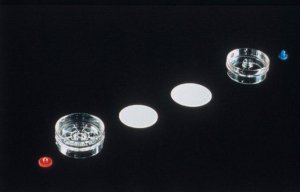 MF-Millipore� Membrane Filter, 0.8 �m pore size, gridded AABG03700