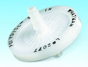 Whatman� Polydisc GW in-line filter for ground water WHA10463401