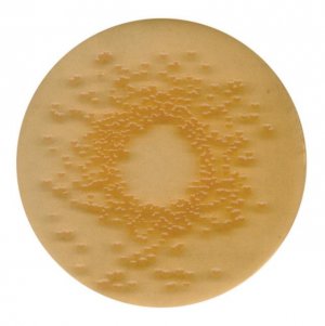 DEV gelatin agar 