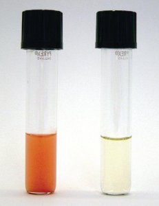 Ferrioxamine E from Streptomyces antibioticus 