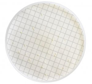 Milliflex� Cassette prefilled with R2A Agar MXSMCRA48