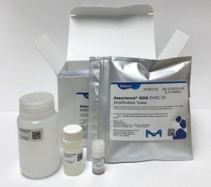 GDS EHEC ID for E.coli O157:H7 TQ 71037-52
