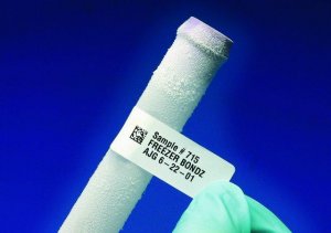 Brady� Freezerbondz� labels Z664529-1ROL