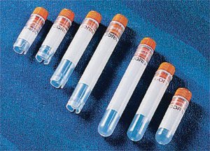 Corning� cryogenic vials, internal thread CLS430656-500EA