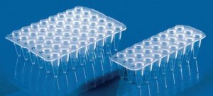 BRAND� 24-well PCR plate BR781411-40EA
