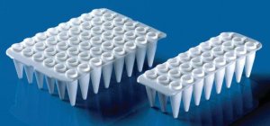 BRAND� 48-well PCR plates BR781416-20EA