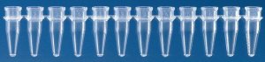 BRAND� strips of 12 PCR tubes BR781280-1PK