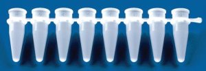 BRAND� strips of 8 PCR tubes BR781320-1PK