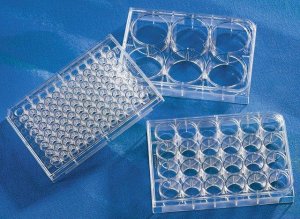 Corning �Costar� Not Treated Multiple Well Plates CLS3736-100EA