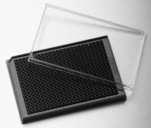 Corning� 384 well plates CLS3680-100EA