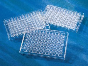 Corning� 96 Well Clear Polystyrene Microplate CLS3896-48EA