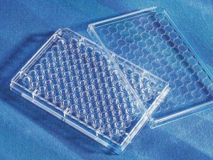 Corning� 96 Well EIA/RIA Assay Microplate CLS3366-100EA