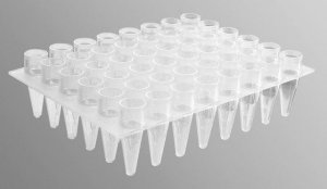 Corning� Axygen� 48 Well PCR Microplate AXYPCR48C
