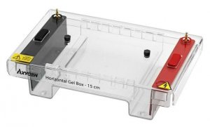 Corning� Axygen� Horizontal Gel Box AXYHGB15