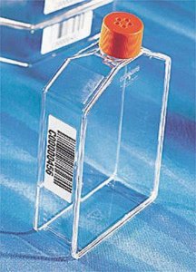 Corning� cell culture flasks CLS431306-84EA