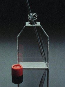 Corning� cell culture flasks CLS431081-25EA