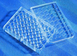Corning� CellBIND� Multiple Well Plate 