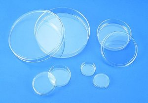 Corning� CellBIND� surface culture dishes CLS3295-126EA