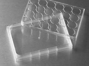 Corning� Costar� HTS Transwell� cell culture plates CLS4395-48EA