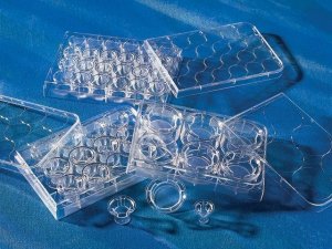 Corning� Costar� Transwell� cell culture inserts 