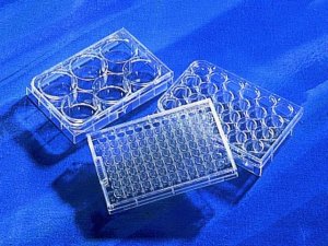 Corning� Costar� Ultra-Low Attachment Multiple Well Plate 