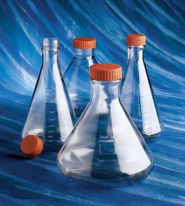 Corning� Erlenmeyer cell culture flasks CLS431146-25EA