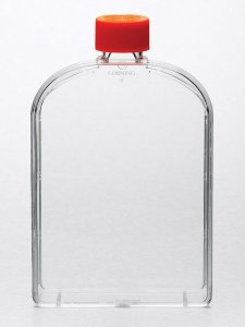 Corning� flask, canted neck, 175 cm, vented CLS431466-50EA