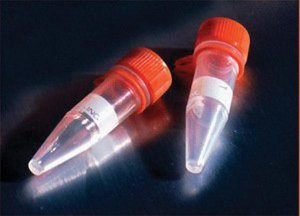 Corning� microcentrifuge tubes with screw cap CLS430917-500EA