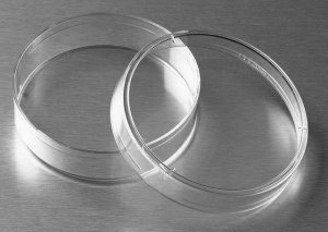 Corning� non-treated culture dishes CLS430589-500EA
