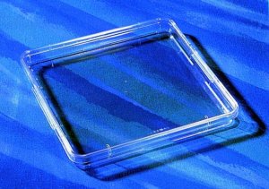 Corning� square bioassay dishes 