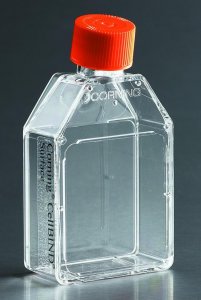 Corning� Synthemax�-R surface cell culture flasks CLS3983-2EA