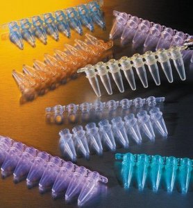 Corning� Thermowell PCR 8 well strip tubes with caps CLS6547-300EA